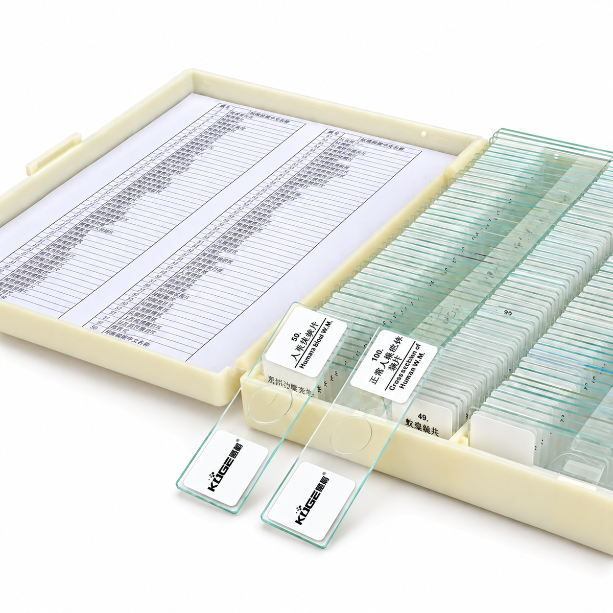 100 Prepared Microscope Slides Set