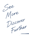 See More, Discover Further